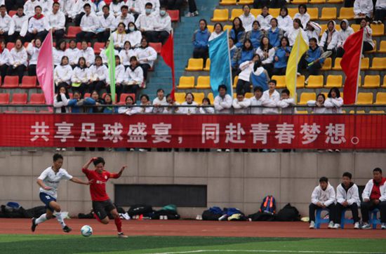 讲述为了往看心爱乐队的现场演唱会，4个高中女生骑自行车从北九州横跨1000千米往往东京的芳华公路片子。摇滚乐队クリープハイプ(CreepHyp)将担负片中的音乐建造，并在片中本质出演